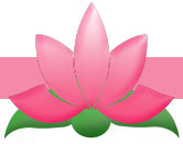 the_pink_lotus_network002006.jpg