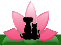 the_pink_lotus_network_jan_2026005004.jpg