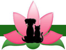 the_pink_lotus_network_jan_2026007007.jpg
